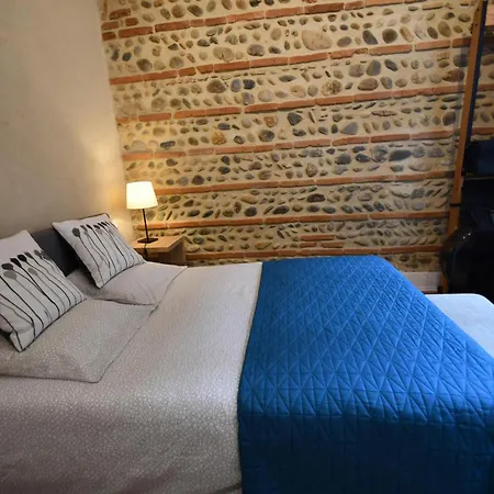 Elegant Toulousain - Centre - Metro - Standing דירה