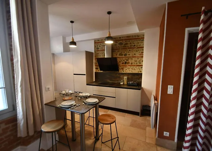 Elegant Toulousain - Centre - Metro - Standing Appartement *