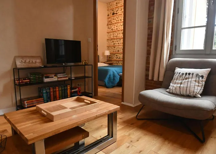 Διαμέρισμα Elegant Toulousain - Centre - Metro - Standing *